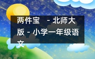 兩件寶   - 北師大版 - 小學一年級語文教案