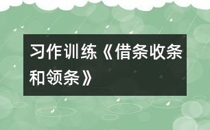 （習(xí)作訓(xùn)練）《借條、收條和領(lǐng)條》