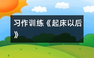 （習(xí)作訓(xùn)練）《起床以后》