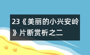 23《美麗的小興安嶺》片斷賞析之二