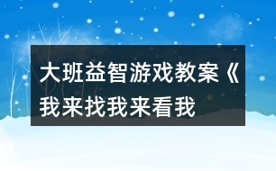 大班益智游戲教案《我來找、我來看、我來玩》