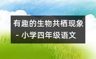 有趣的生物共棲現(xiàn)象 - 小學四年級語文教案