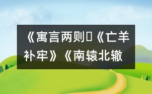 《寓言兩則?《亡羊補牢》、《南轅北轍》》教學設計,教案