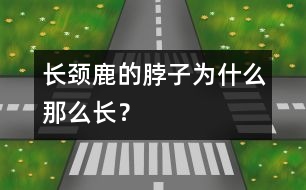 長頸鹿的脖子為什么那么長？