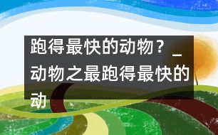 跑得最快的動物？_動物之最：跑得最快的動物？