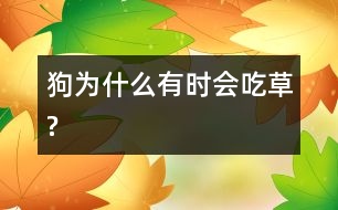 狗為什么有時會吃草?