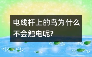 電線桿上的鳥為什么不會觸電呢?