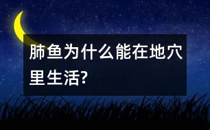 肺魚為什么能在地穴里生活?