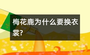 梅花鹿為什么要換“衣裳”?