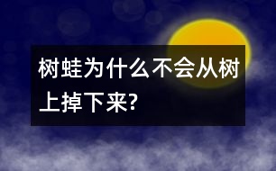 樹(shù)蛙為什么不會(huì)從樹(shù)上掉下來(lái)?