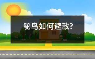 鴕鳥(niǎo)如何避敵?