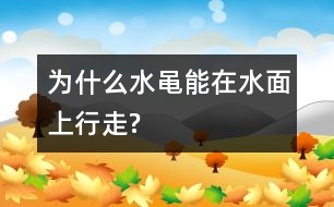 為什么水黽能在水面上行走?