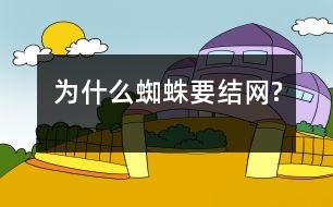 為什么蜘蛛要結(jié)網(wǎng)?