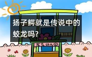 揚(yáng)子鱷就是傳說中的蛟龍嗎?