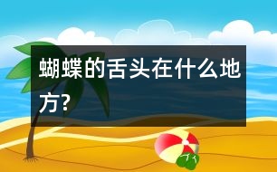 蝴蝶的舌頭在什么地方?