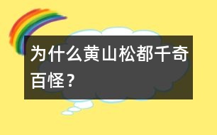 為什么黃山松都千奇百怪？