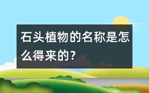 “石頭植物”的名稱(chēng)是怎么得來(lái)的？