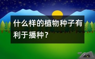 什么樣的植物種子有利于播種？