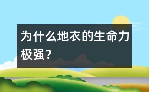 為什么地衣的生命力極強(qiáng)？