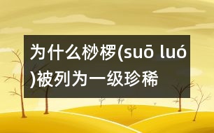 為什么桫欏(suō luó)被列為一級(jí)珍稀植物？