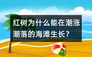 紅樹為什么能在潮漲潮落的海灘生長？