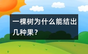 一棵樹(shù)為什么能結(jié)出幾種果？