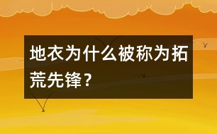 地衣為什么被稱(chēng)為拓荒先鋒？