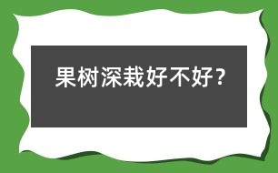 果樹深栽好不好？