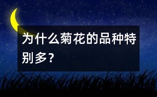 為什么菊花的品種特別多？