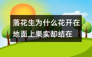 落花生為什么花開在地面上,果實卻結(jié)在地下？