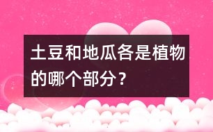 土豆和地瓜各是植物的哪個部分？