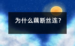 為什么藕斷絲連？