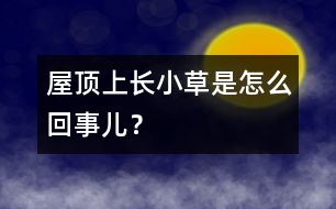 屋頂上長小草是怎么回事兒？