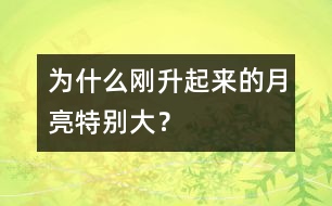 為什么剛升起來(lái)的月亮特別大？