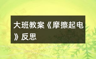 大班教案《摩擦起電》反思