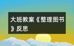 大班教案《整理圖書(shū)》反思