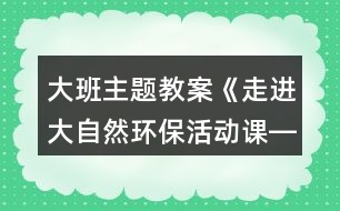 大班主題教案《走進(jìn)大自然環(huán)?；顒?dòng)課――魔術(shù)小屋》反思