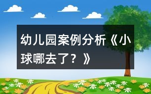 幼兒園案例分析《小球哪去了？》