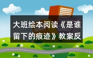 大班繪本閱讀《是誰(shuí)留下的痕跡》教案反思