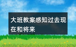 大班教案感知過去現(xiàn)在和將來