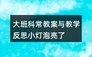 大班科常教案與教學(xué)反思小燈泡亮了