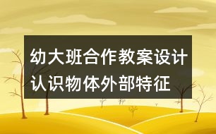 幼大班合作教案設(shè)計認識物體外部特征