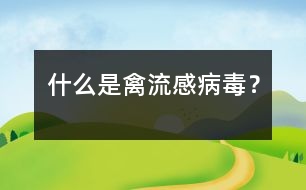 什么是禽流感病毒？