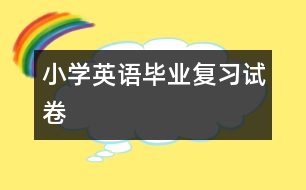 小學英語畢業(yè)復習試卷