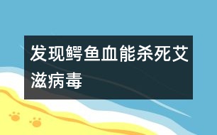 發(fā)現(xiàn)：鱷魚血能殺死艾滋病毒