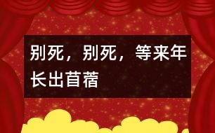 別死，別死，等來年長出苜蓿