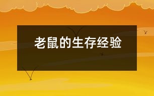 老鼠的生存經(jīng)驗