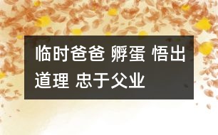 臨時爸爸 孵蛋 悟出道理 忠于父業(yè)